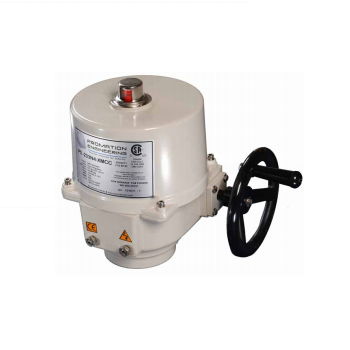 Bộ điện điều khiển van P4-12V/24VAC/DC Promation